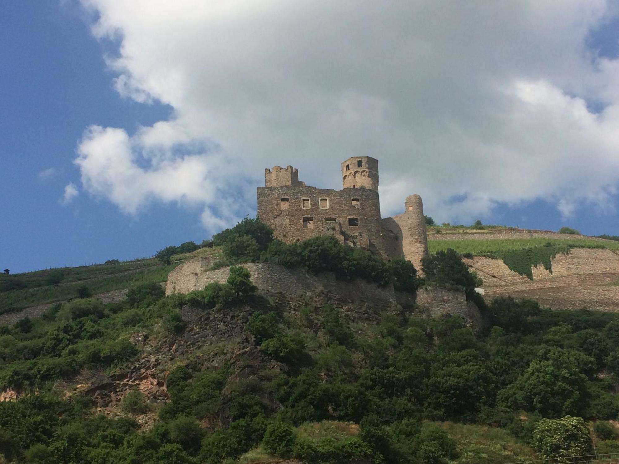 吕德斯海姆Haus Am Weinberg公寓 外观 照片